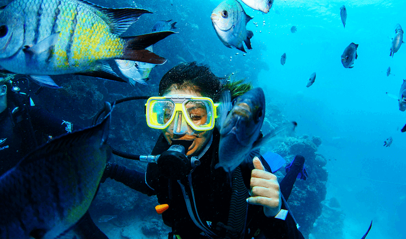 The Importance of Regular Heart Screenings and Checkups